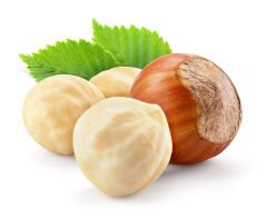 Fındık